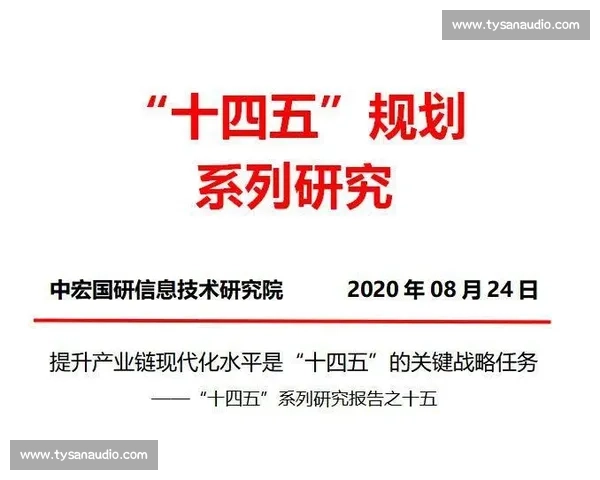 体育行业资本运作模式创新与产业价值提升路径研究及投融资战略优化